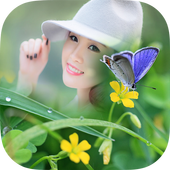 Butterfly Photo Frame 2016 icon