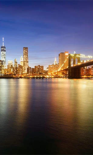 City Night Live Wallpaper screenshot 8