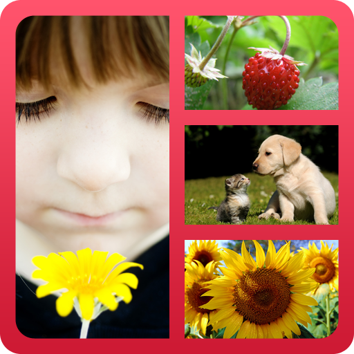 Photo Collage Original icon