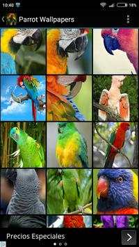 Parrot Wallpapers 1 تصوير الشاشة