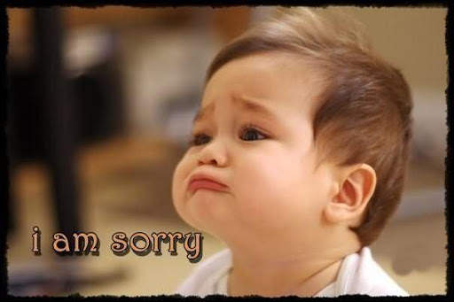 Sorry Images screenshot 4