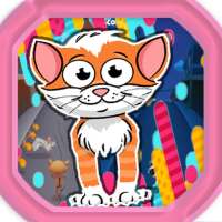 Vicolo Cat