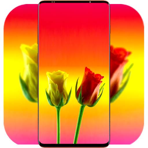 Rose Flower Wallpaper 1.05