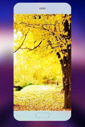 Free Wallpapers QHD & 4K Background screenshot 1