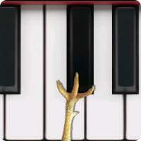 Chicken Piano