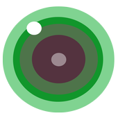 iCSee plus  camera icon