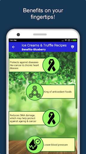 70  Homemade Ice Creams Recipes & Desserts Offline screenshot 8