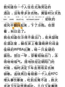 Chinesebrowser screenshot 15