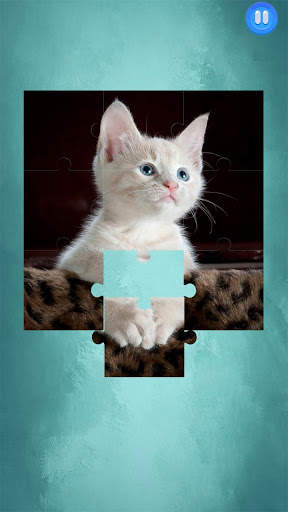 Cute Baby Cats Jigsaw Puzzle Game screenshot 6