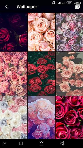 Roses Flowers Spring Lock Screen screenshot 1