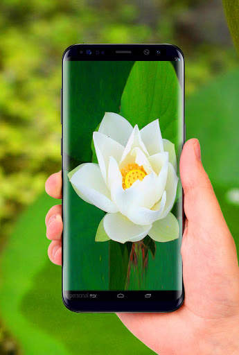 Lotus 3D Live Wallpaper screenshot 3