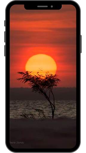 Sunset Wallpaper for Android 4K HD screenshot 3