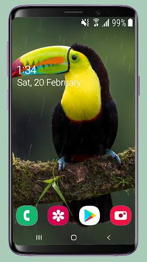 Bird Wallpaper New 4K screenshot 12