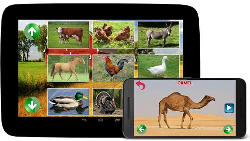 Animal Sounds screenshot 3
