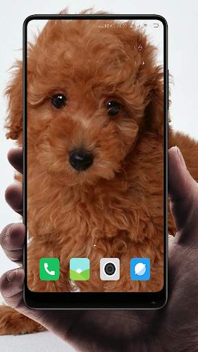 Brown Wallpaper screenshot 12