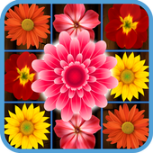 Flower Crush आइकन