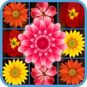 Flower Crush 1.0