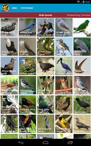African Birds Sounds Free screenshot 10