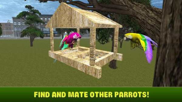 City Bird Parrot Simulator 3D screenshot 3