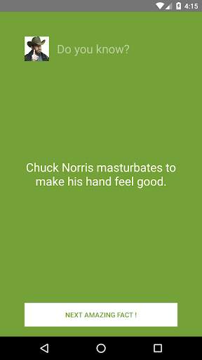Chuck Norris: The Legend screenshot 3