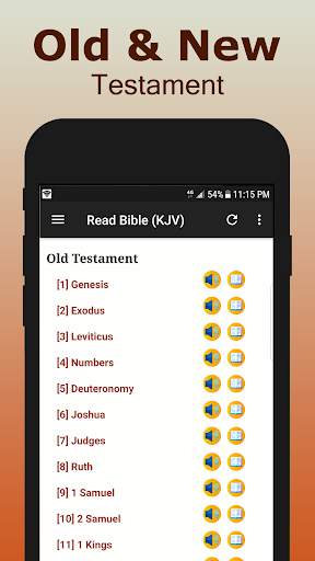 King James Bible Audio screenshot 2