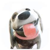 Puppy Licks Screen Animation 2.0