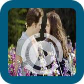 video status whats 1.1