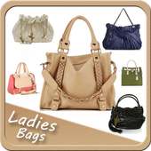 Ladies Purse Hand Bags Designs