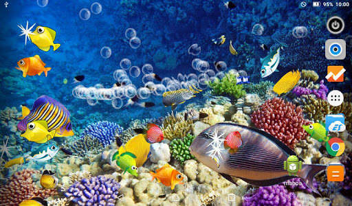 Koi Fish Live Wallpaper screenshot 4