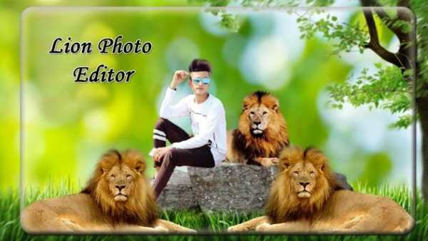 Lion Photo Editor screenshot 2