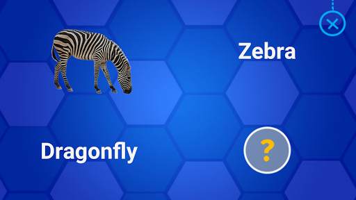 Animals for Kids - Flashcards, Puzzles & Sounds screenshot 13