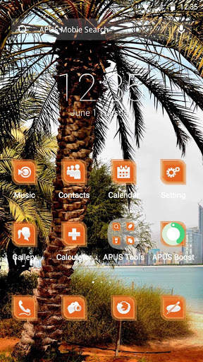 The palm trees theme for APUS screenshot 1