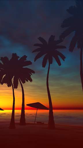 Palms Live Wallpaper screenshot 1