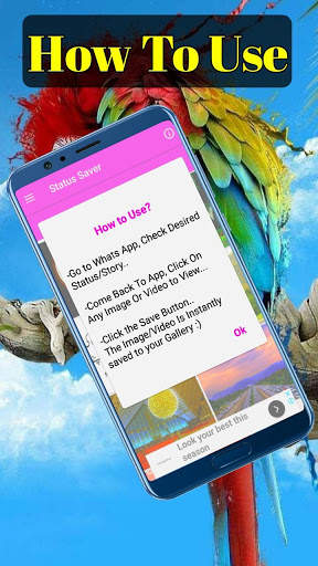 Status Saver – Photo & Video Story Saver screenshot 3