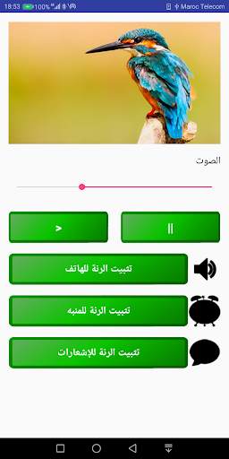 أصوات الطيور و العصافير بدون نت - أصوات الغابة 1 تصوير الشاشة