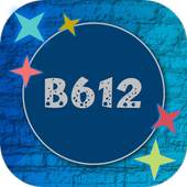 Selfie Camera B612 1.0