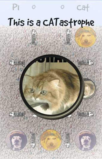 Dog taC Dog screenshot 3