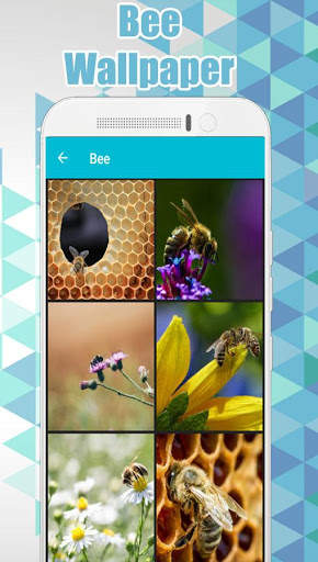 Bee Wallpaper HD 🐝 screenshot 2