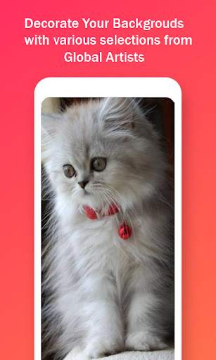 Cute Cat HD Wallpapers screenshot 6