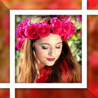 PicMine - Profilbilder Collagen & Fotos erstellen on 9Apps