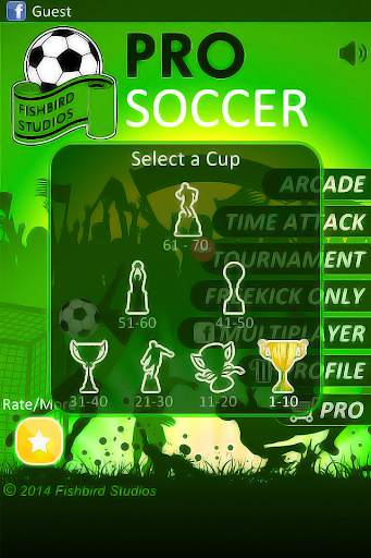 Sepak Bola Profesional screenshot 2