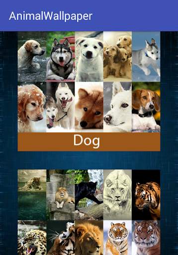 Animal Wallpaper screenshot 2