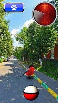 Pocket Birds GO screenshot 3