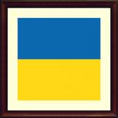 TV Ukraine Info channel 1.0