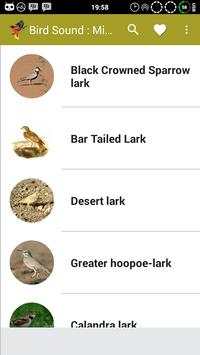 Birds Sound : Morocco screenshot 1