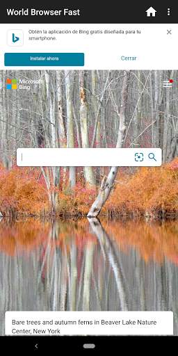 World Browser Fast screenshot 3