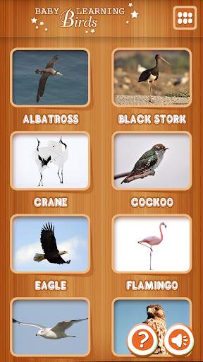 Baby learning Birds (Card) स्क्रीनशॉट 1