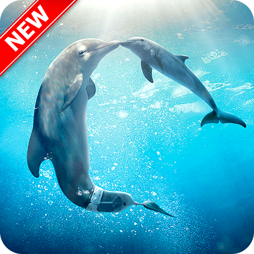 Dolphins Wallpaper icon
