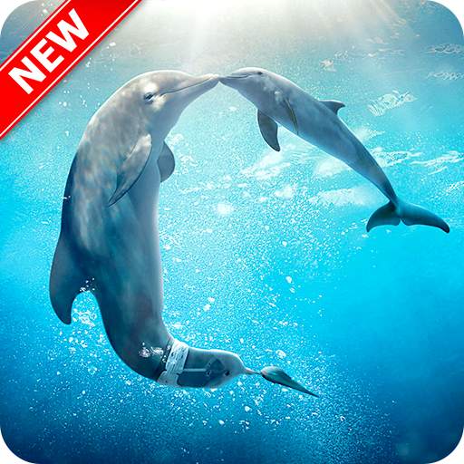 Dolphins Wallpaper 6.0