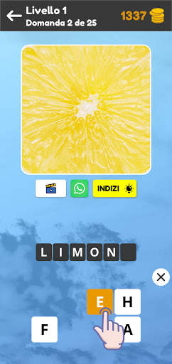 Zoom Quiz: Gioco D'immagini screenshot 2